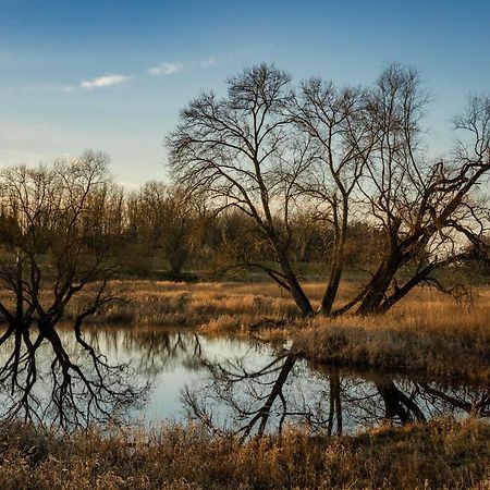 Апартаменты Am Storchennest Damnatz Экстерьер фото